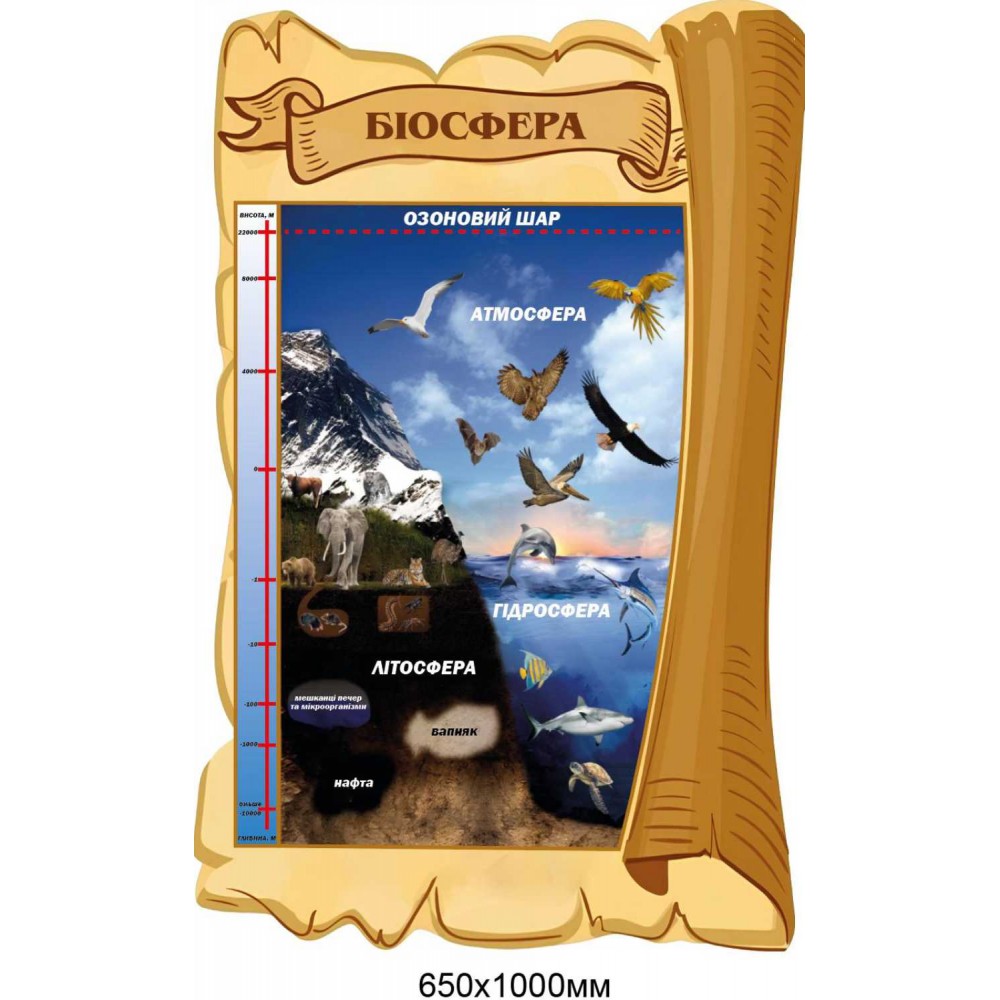 Стенд для вивчення географії "Біосфера" 650 × 1000 мм