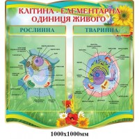 Стенд Клетка - элементарная единица живого