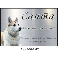 Памятная табличка 200х250 мм