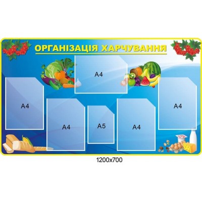Стенд Організація харчування Калина