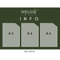 Стенд інформаційний з вашим логотипом 800х500 мм