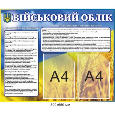 Учебный стенд "Правила воинского учета" информационный материал А4