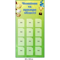 Стенд пластиковый Чемпионы и призеры области
