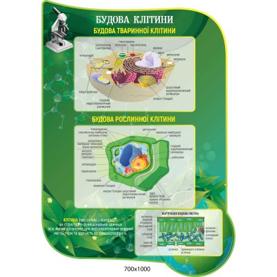 Комплект стендів у кабінет Біологій, зелені