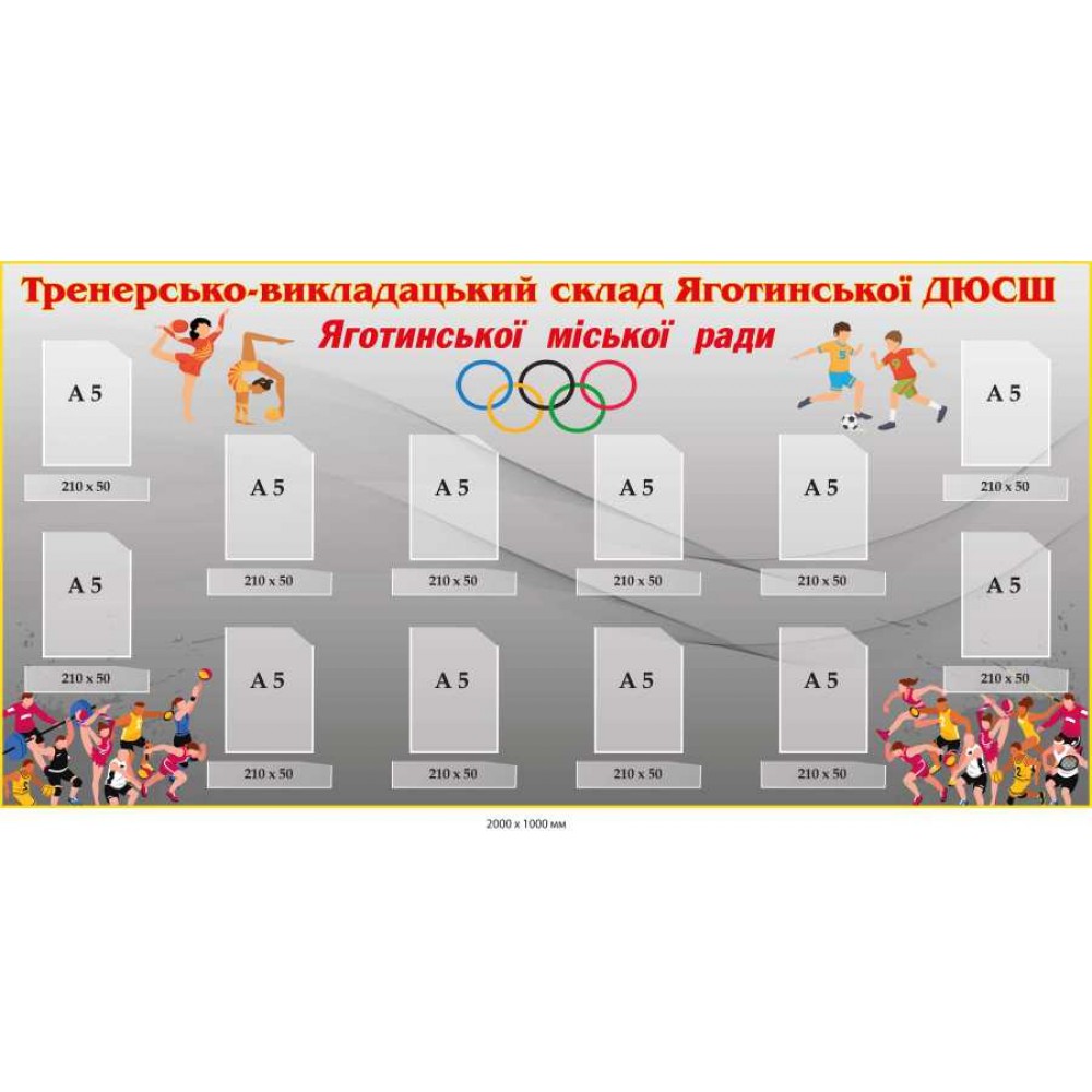 Стенд "Тренерско-преподавательский состав ДЮСШ" 12 карманов А5 2000х1000 мм