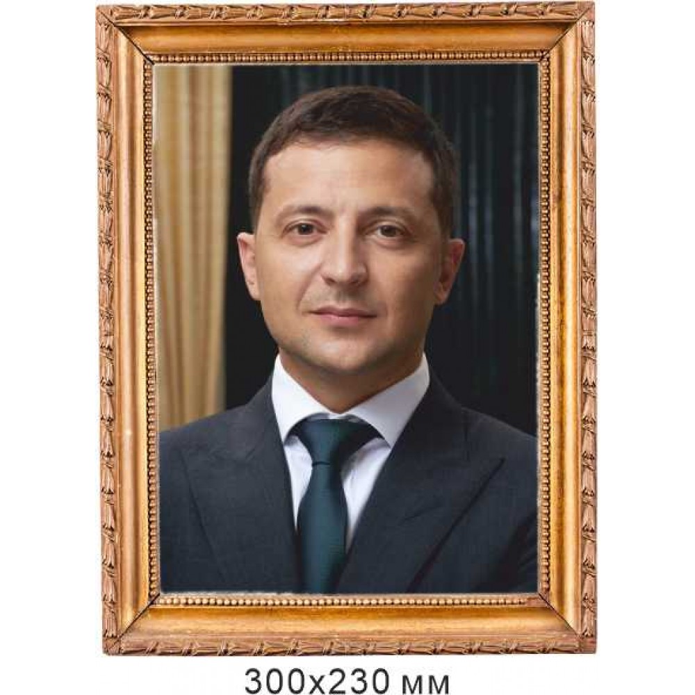 Фото президента Украины 300х230 мм размер А4