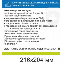 Информационный медицинский стенд "Хирургические операции взрослым и детям в условиях стационара одного дня" 216х204 мм