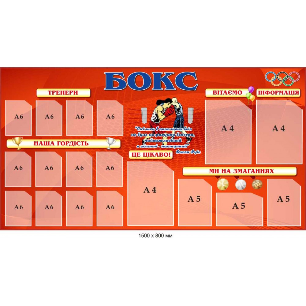 Стенд "Бокс" для спортивного зала (1500х800 мм 12 карманов А6)