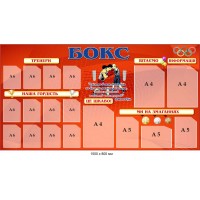 Стенд "Бокс" для спортивного зала (1500х800 мм 12 карманов А6)