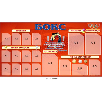 Стенд "Бокс" для спортивного зала (1500х800 мм 12 карманов А6)