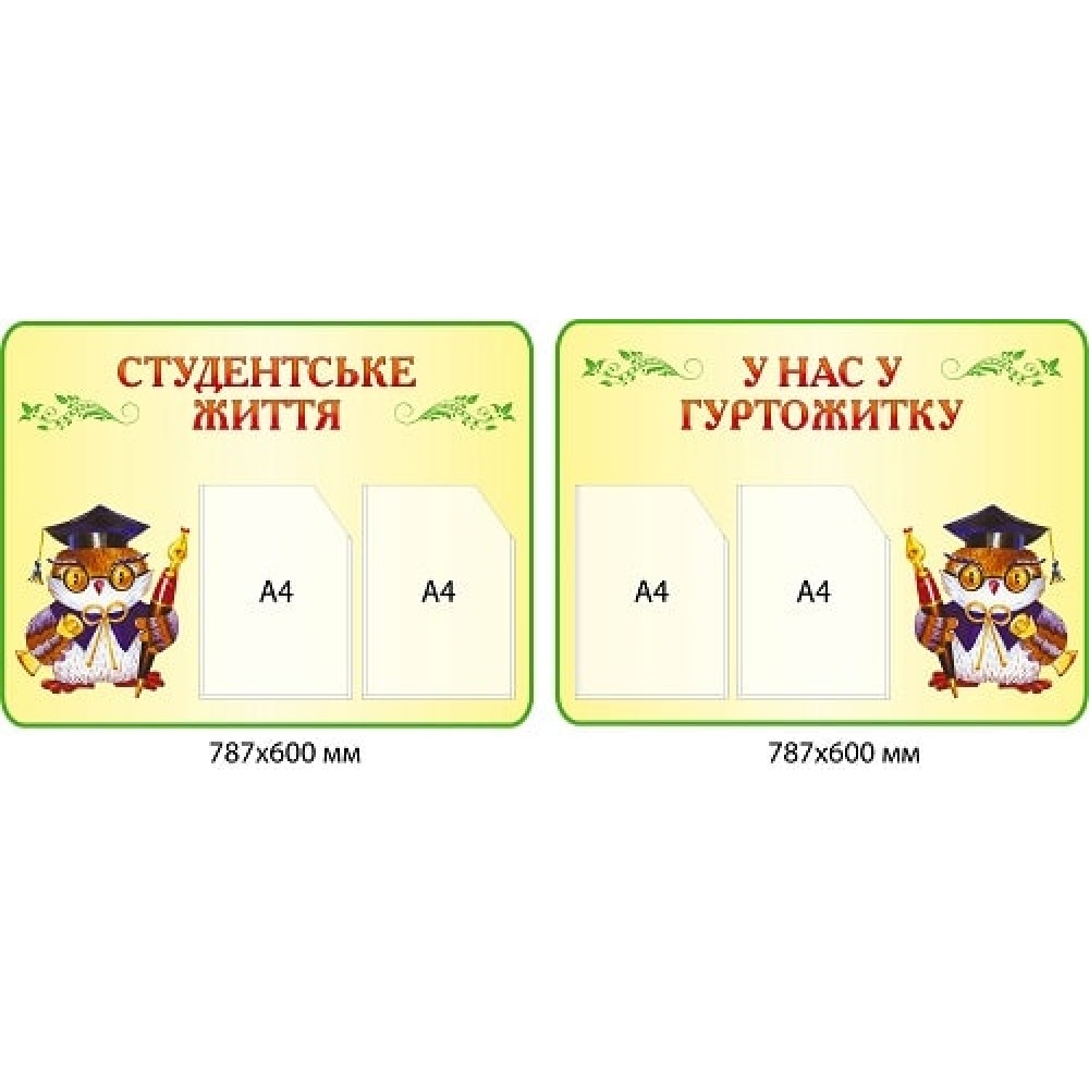 Комплект стендов "Студенческая жизнь" и "У нас в общежитии" (желтый фон, сова-выпускница, по 2 кармана А4)