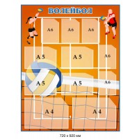 Информационный стенд для спортивного зала Волейбол 720х920 мм 11 карманов