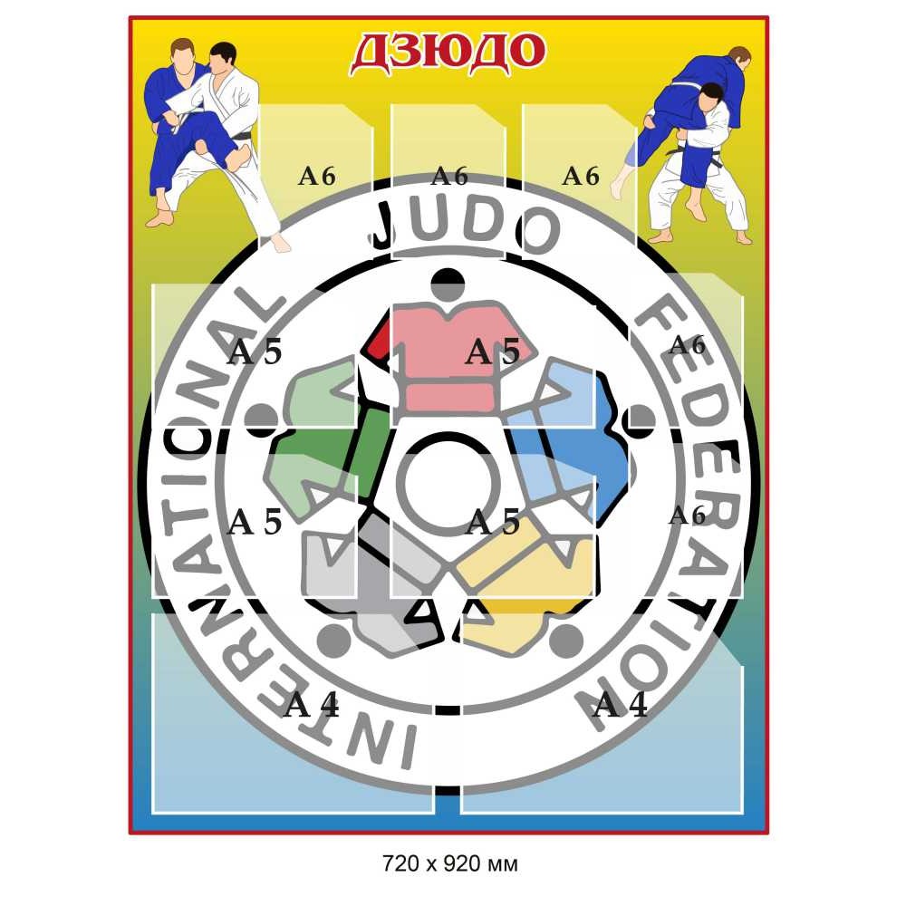 Стенд для спортзала Дзюдо 720х920 мм 9 карманов