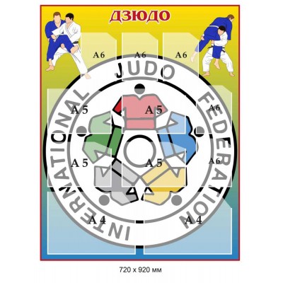 Стенд для спортзала Дзюдо 720х920 мм 9 карманов
