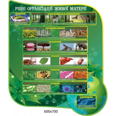 Комплект стендів у кабінет Біологій, зелені