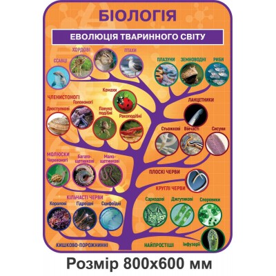 Комплект стендов для кабинета Биологии (оранжевый цвет)