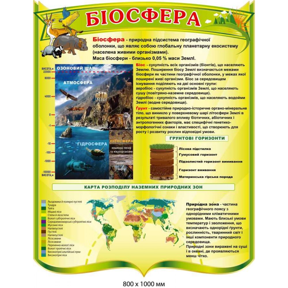 Стенд в кабинет географии что такое биосфера