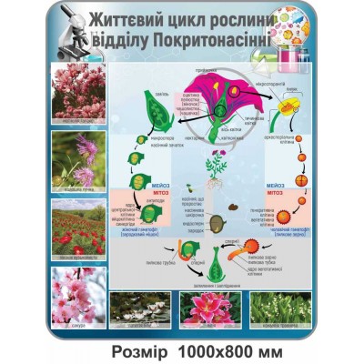 Комплект стендів для кабінета біології