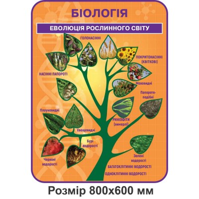 Комплект стендов для кабинета Биологии (оранжевый цвет)