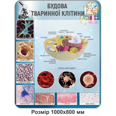 Комплект стендів для кабінета біології