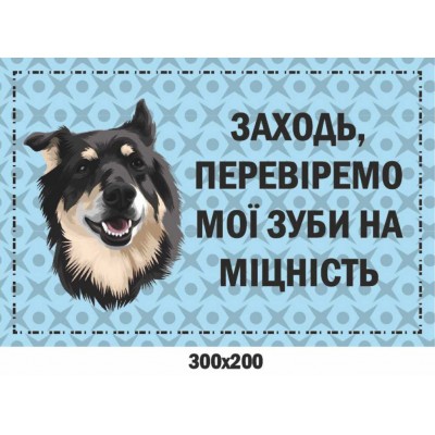 Табличка із попередженням Злий пес (із жартом) 300х200 мм