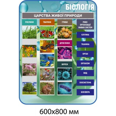 Комплект стендов для кабинета биологии (голубой)