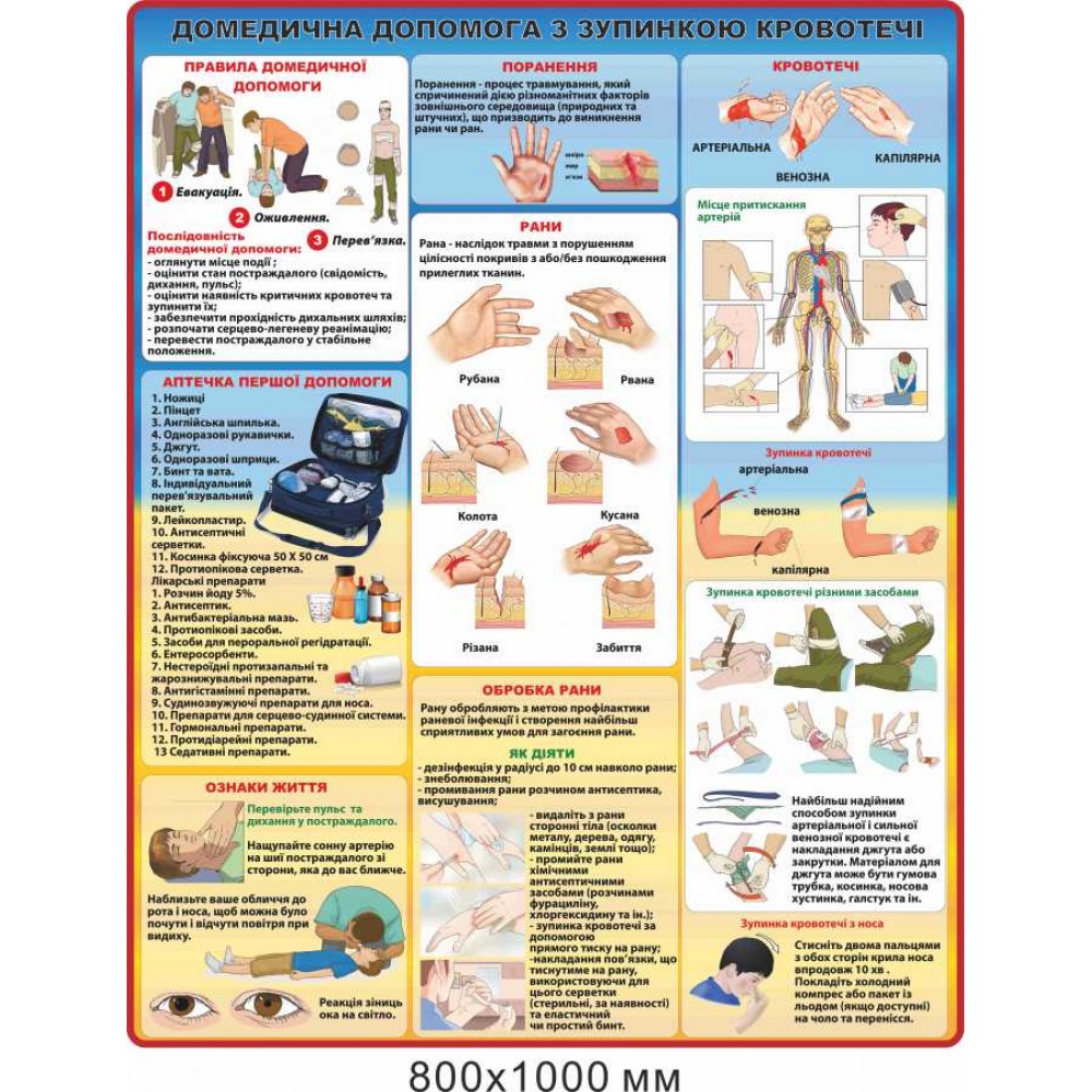 Стенд по гражданской обороне "Домедицинская помощь. Остановка кровотечения" 800х1000 мм