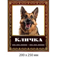 Табличка на память о любимце семьи с позолотой (200х250 мм)