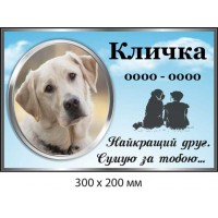 Табличка памятная с фото и скорбной надписью (300х200 мм)