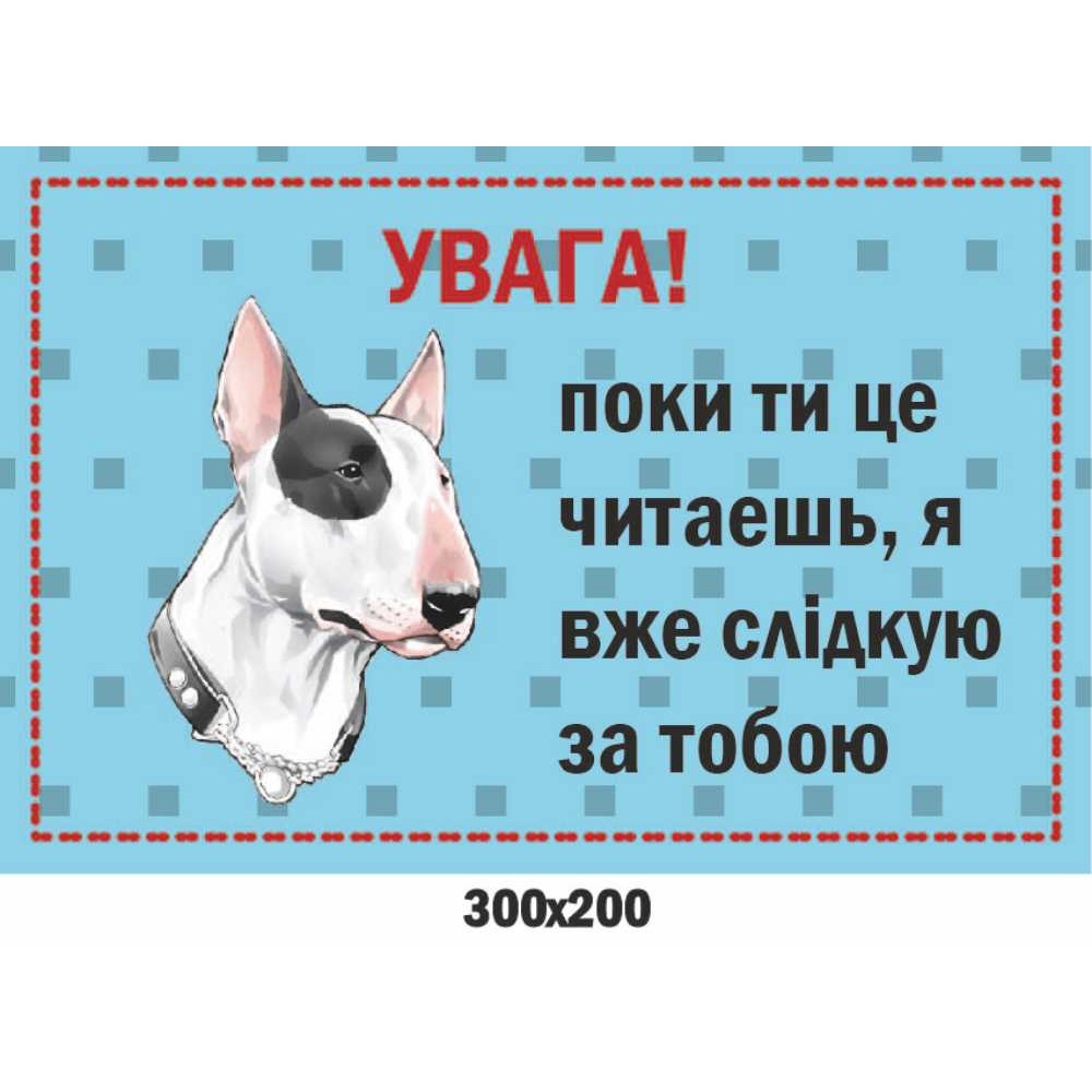 Предупреждающая табличка Осторожно, злой пес! 300х200 мм