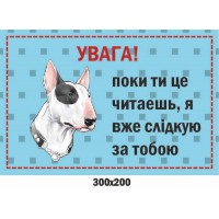 Предупреждающая табличка Осторожно, злой пес! 300х200 мм