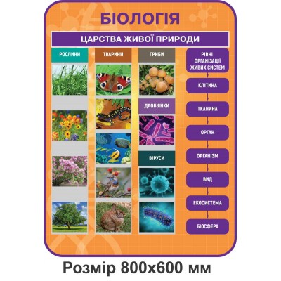 Комплект стендов для кабинета Биологии (оранжевый цвет)