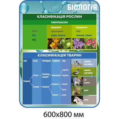 Комплект стендов для кабинета биологии (голубой)