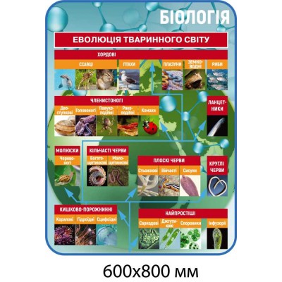Комплект стендов для кабинета биологии (голубой)