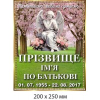 Табличка мемориальная "Помним, любим, скучаем" с ангелом (200х250 мм)