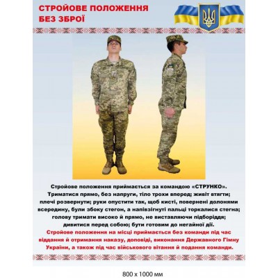 Стенд военный информационный "Строевое положение без оружия" (800х1000 мм)