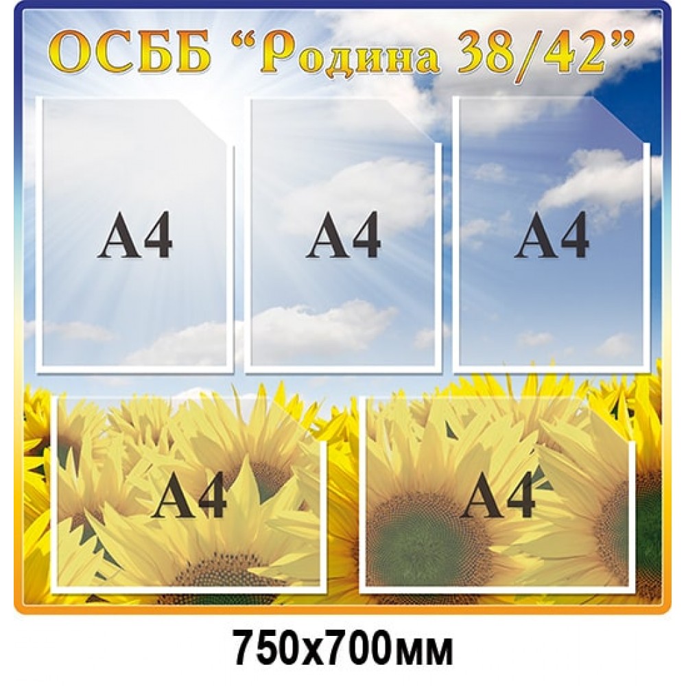  Стенд для ОСМД с подсолнухами, карманы формата А4