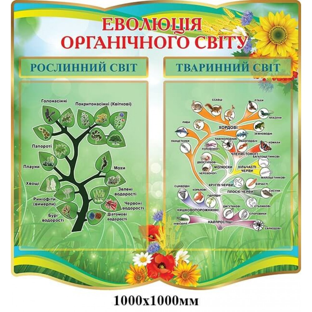 Стенд Эволюция органического мира
