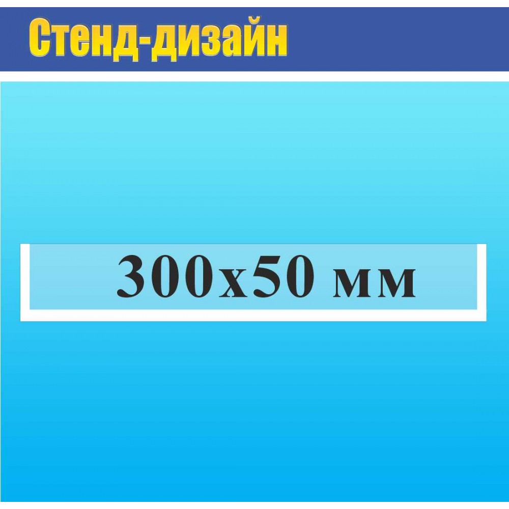 Карман пластиковый на двухстороннем  скотче 300х50 мм