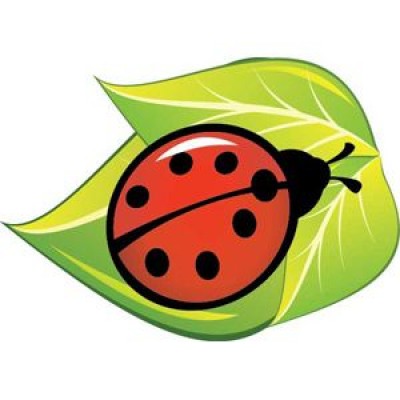 Крепление под магнит Божья коровка