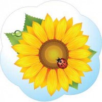 Стенд Подсолнух и божья коровка