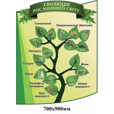 Комплект стендів в кабінет біології (світло-зелений)