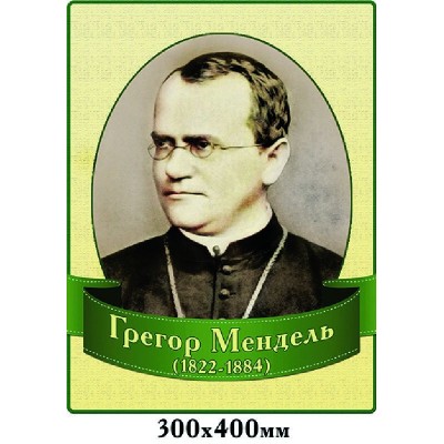 Комплект стендів в кабінет біології (світло-зелений)