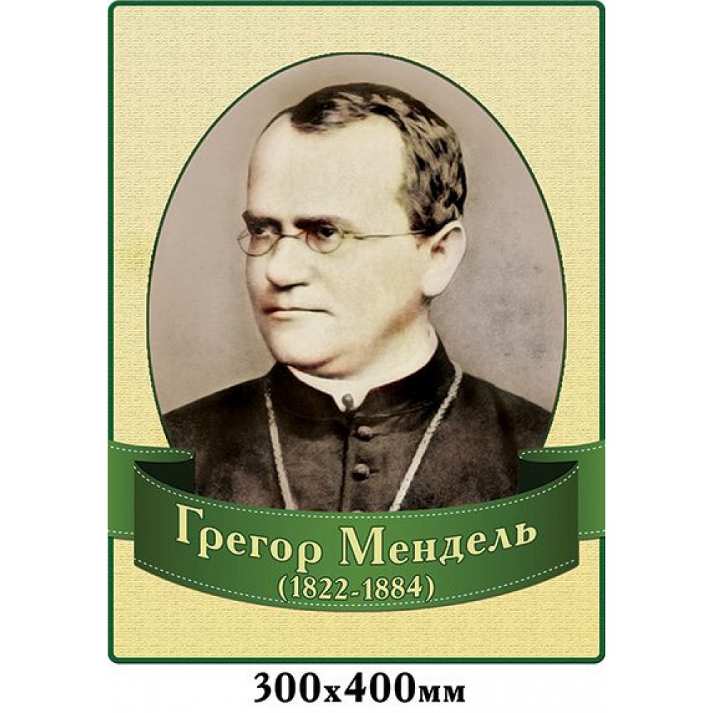Стенд Портрет Греголь Мендель 