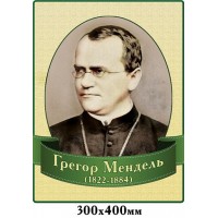 Стенд Портрет Греголь Мендель 