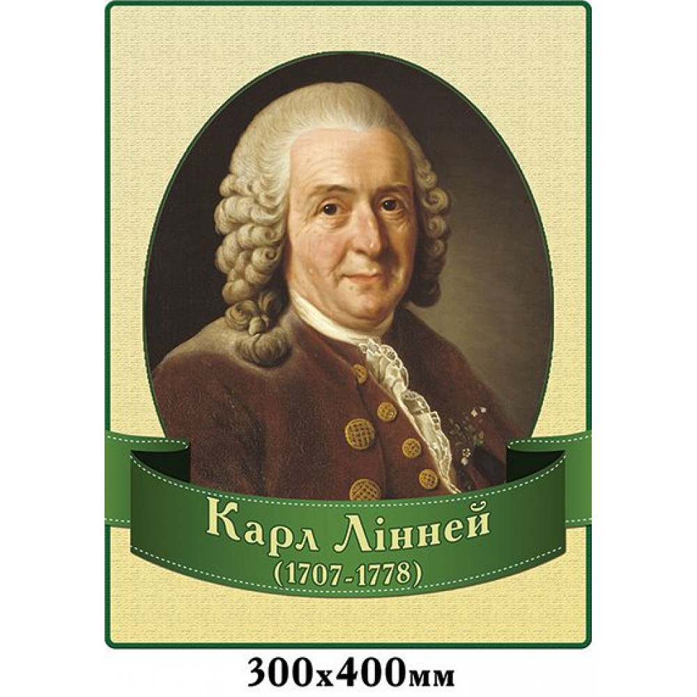 Стенд Портрет Карл Лінней 