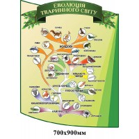 Стенд Еволюція тваринного світу (зелений)