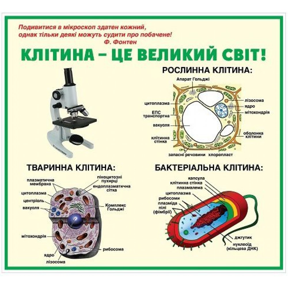 Стенд в кабінет біології (білий фон)