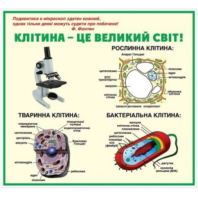 Стенд в кабинет биологии (белый фон)