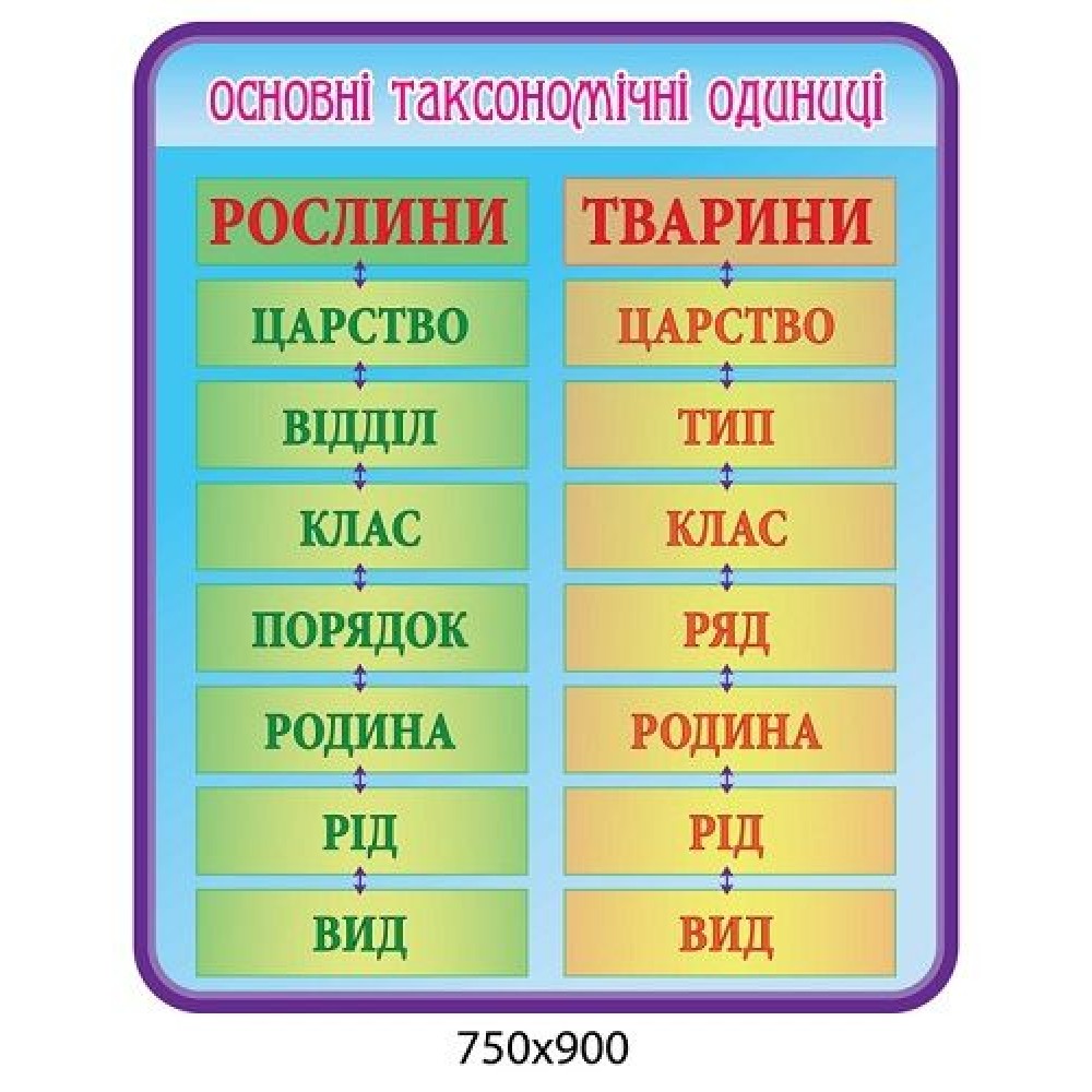 Стенд Основные таксономические единицы